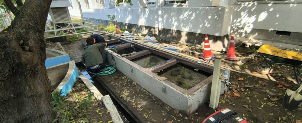 中庭プロジェクト